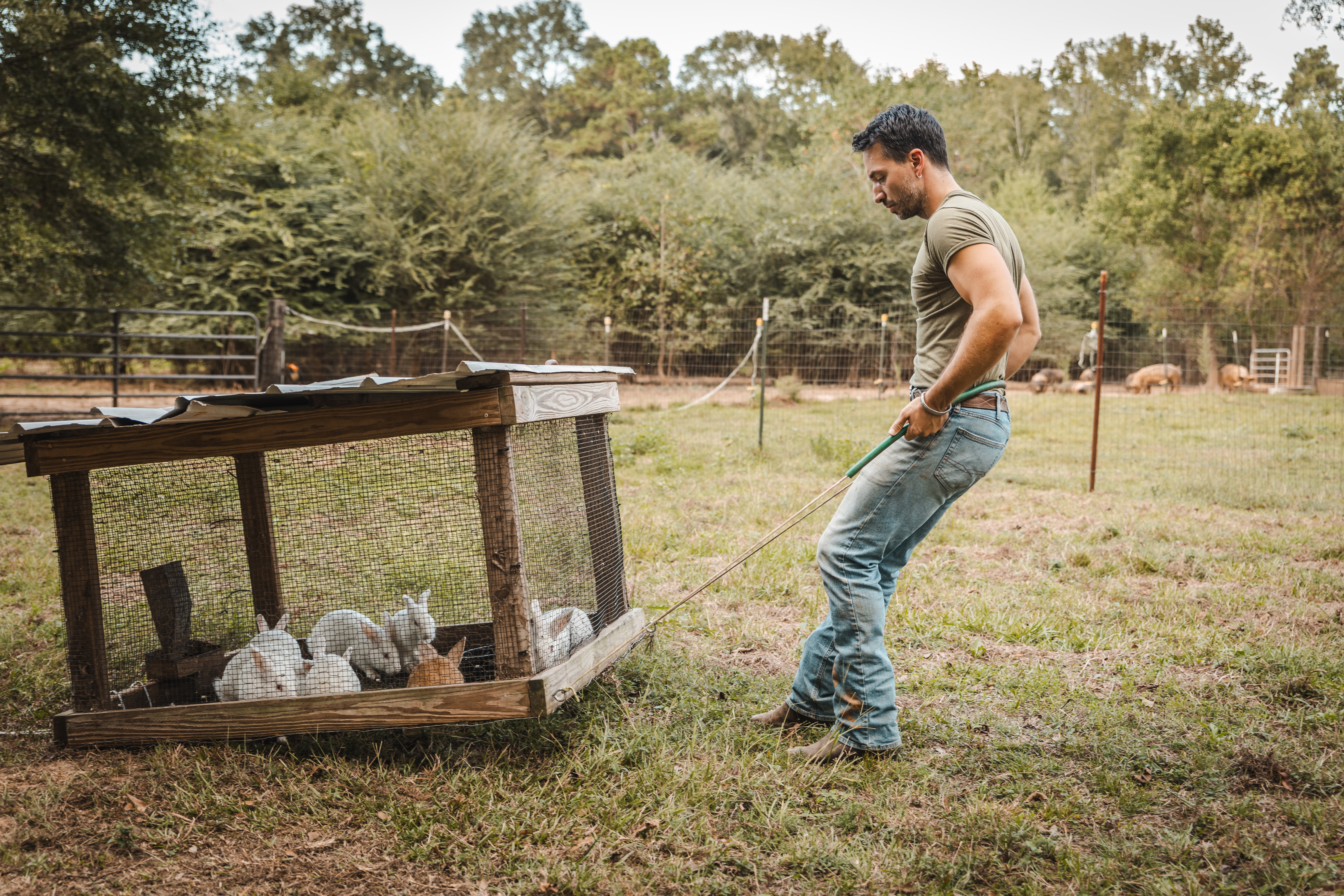 Rabbit tractor on pasture